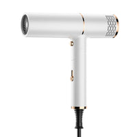 Foldable T-Style Hair Dryer with Detachable Nozzle & Double Filter | Hot & Cold Air – 220V