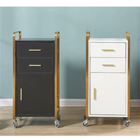 Luxury Salon Trolley with 2 Drawers & 1 Cabinet | Gold Frame Rolling Cart – 39×36×86 cm