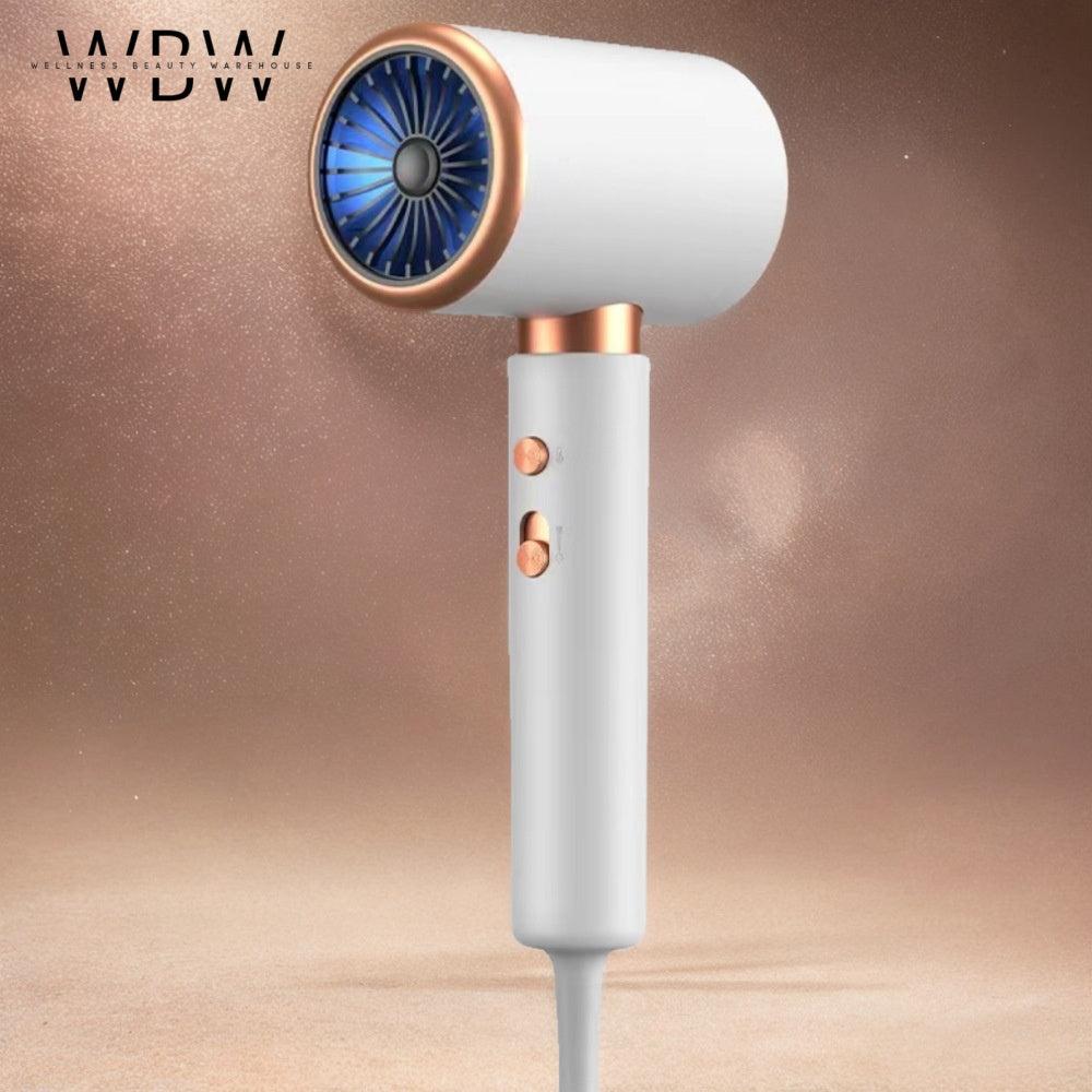 2400W Professional Ionic Hair Dryer with Diffuser