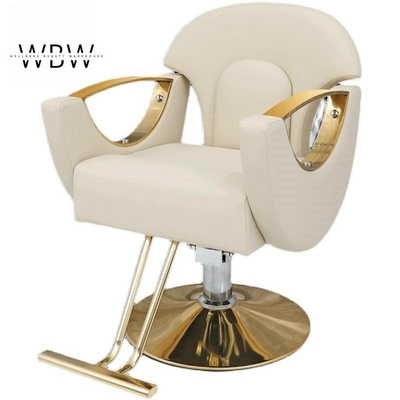 Hydraulic Salon Chair