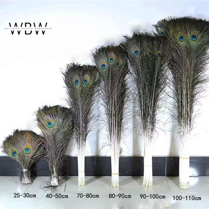 Natural Peacock Tail Feathers