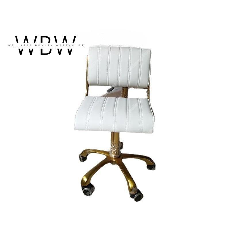 Modern Luxury Gold Salon Stool