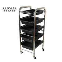 Stainless Steel & ABS Salon Trolley – 5-Tier Rolling Beauty Storage Cart