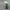 Eco-Friendly PET Spray Bottle – 130ml