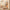 LED Wall Mirror for Salons | HD Single-Sided Mirror with Gold Frame – 2 Sizes