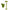 Outil de lifting du visage Gua Sha Mount Lai